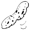 La Fugue de Jojo [Jojo T.2