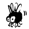 Mococo